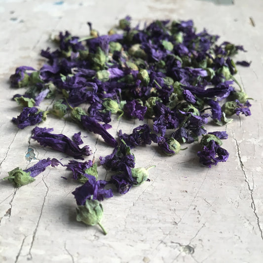 Mauve kvety - 30 g