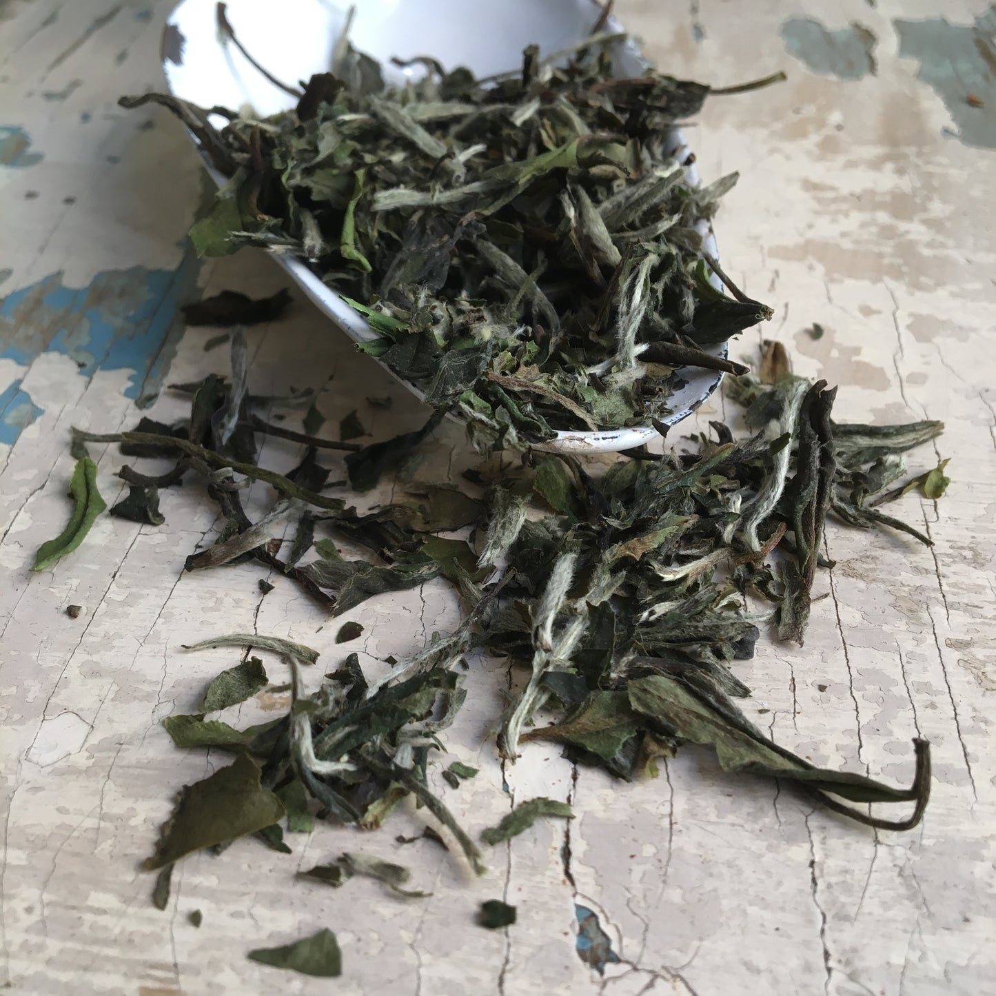 Pai Mu Tan biely čaj - 50 g